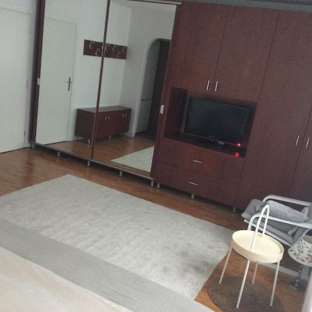 Apartmán Studio Baneasa Bukurešť Exteriér fotografie